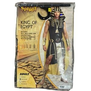 Spirit Halloween King Of Egypt Medium Adult Costume Black Gold Pharaoh